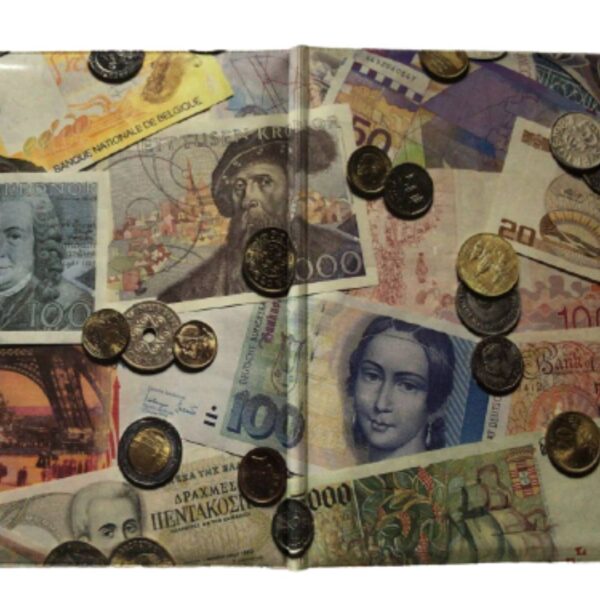 Passport cover "Notes & coins"